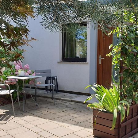 Studio Emma Ljubljana - Free Parking, Ac, Wifi Екстериор снимка