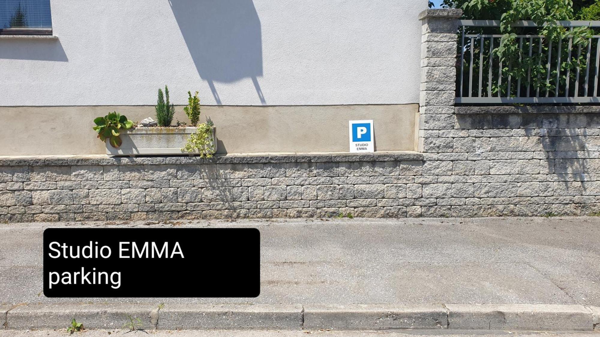 Studio Emma Ljubljana - Free Parking, Ac, Wifi Екстериор снимка